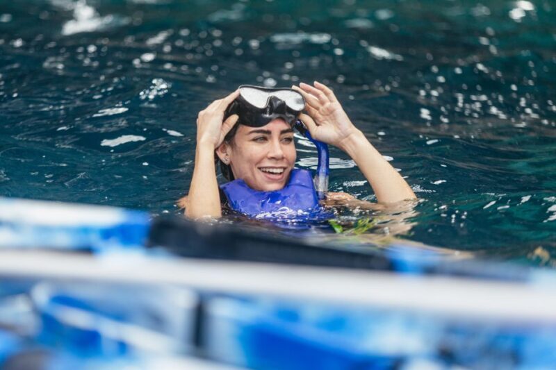 Tenerife: Kayak Safari and Sea Turtle Snorkeling - What to Expect on the Tour