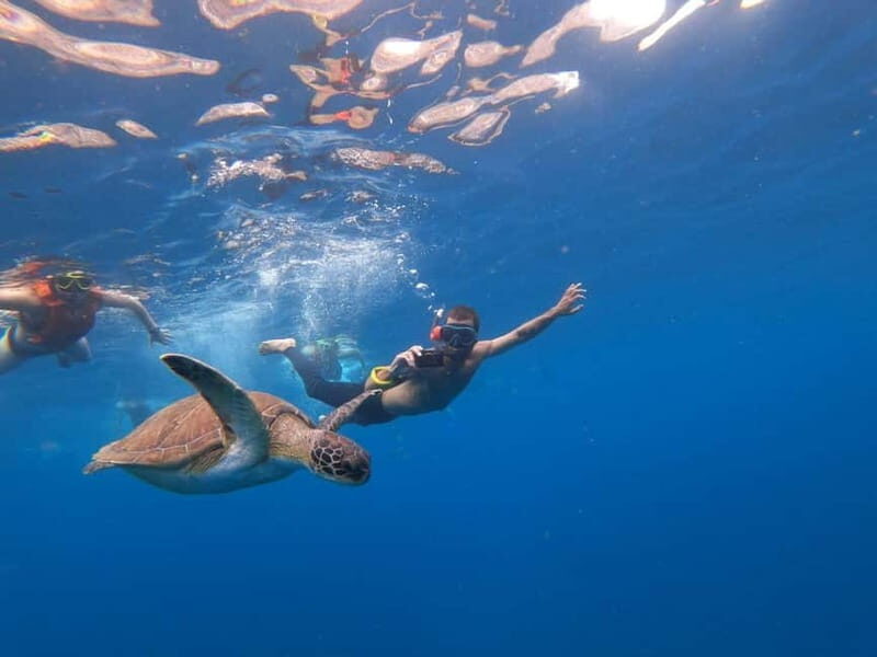 Tenerife: Kayak Sea Safari with Snorkel and Snacks - An In-Depth Look at the Tenerife Kayak Sea Safari