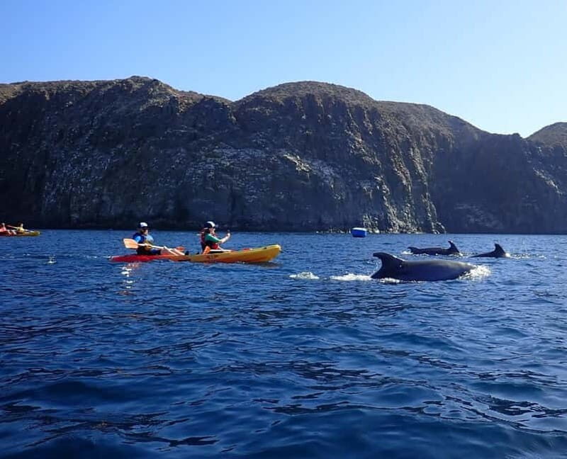 Tenerife: Kayak Sea Safari with Snorkel and Snacks - Final Thoughts
