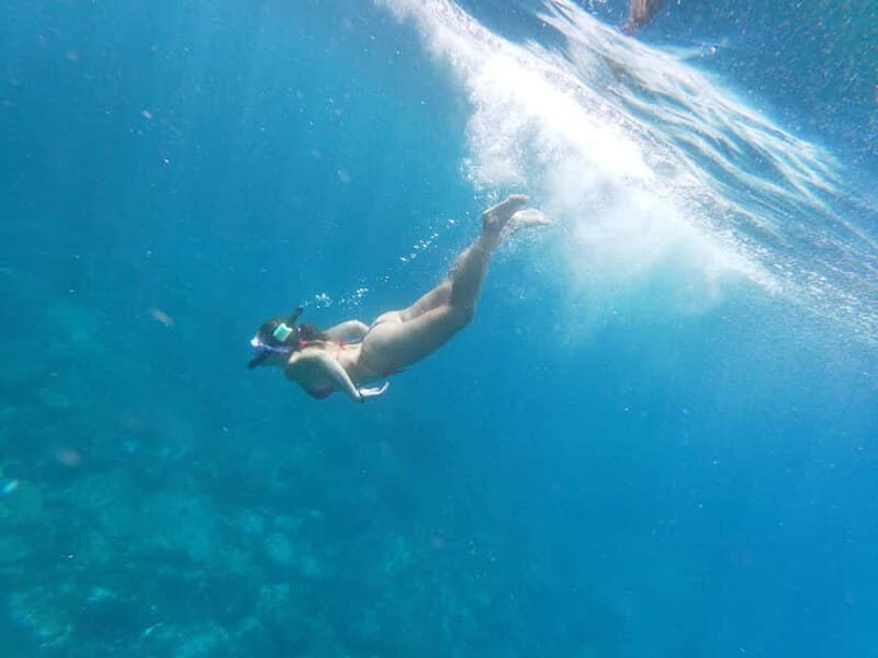 Tenerife: Kayak & Snorkel with Turtles & Dolphins w/Photos - Returning and Refreshing