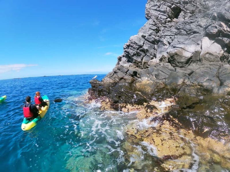 Tenerife: Kayak & Snorkel with Turtles & Dolphins w/Photos - Practical Details and Considerations