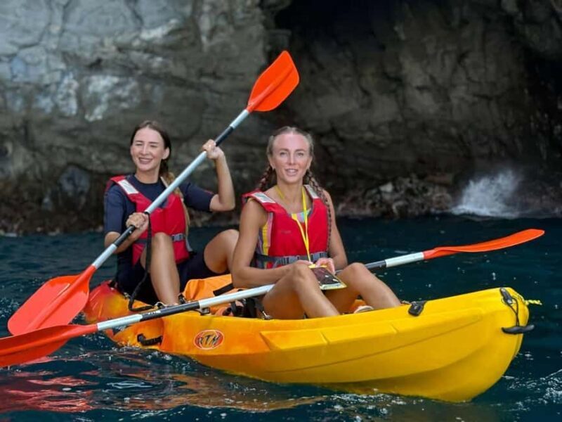 Tenerife: Kayak & Snorkeling, Marine Fauna Watching - Who Should Consider This Tour?