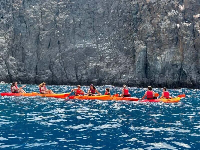 Tenerife: Kayak & Snorkeling, Marine Fauna Watching - FAQ