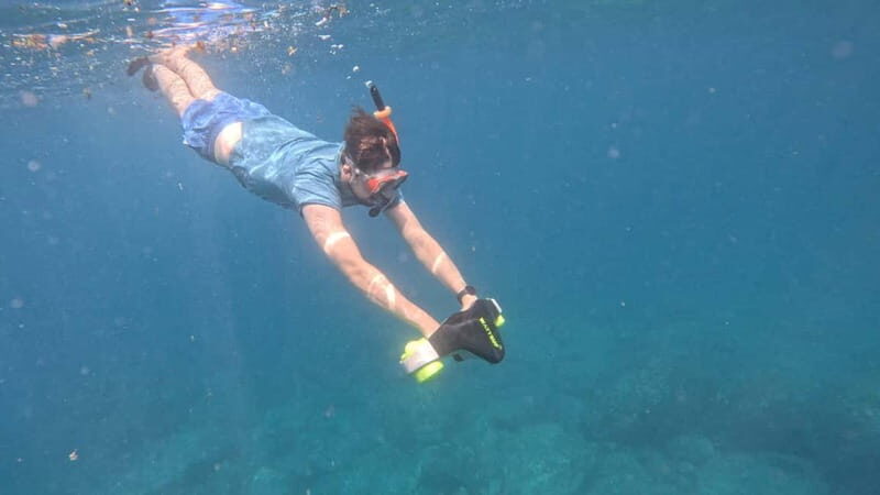 Tenerife: kayak tour with animals and underwater scooters - Key Points