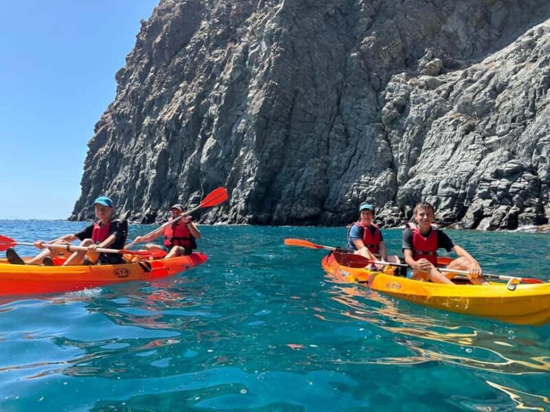 Tenerife: Kayak with Dolphins and Snorkel with Turtles - Key Points