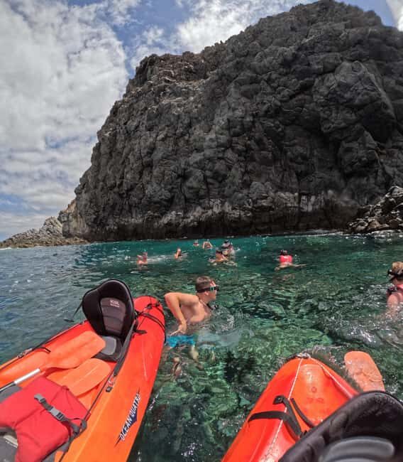 Tenerife: Kayak with Dolphins and Snorkel with Turtles - Exploring the Experience in Detail