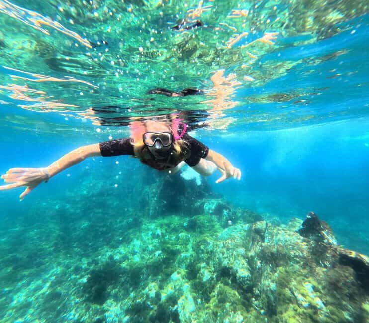 Tenerife: Kayak with Dolphins and Snorkel with Turtles - Practical Tips