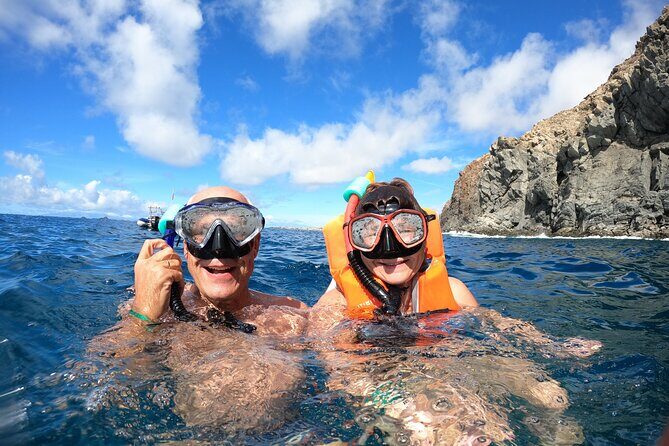 Tenerife: Kayaking and snorkeling, snacks, photos and marine life safari - The Experience in Detail
