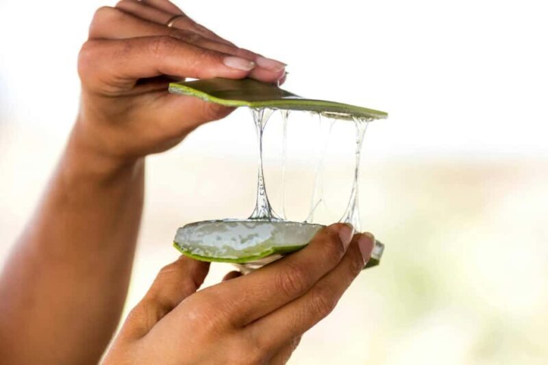 Tenerife: La Laguna, Aloe Vera Farm, and Lunch Tour - FAQs