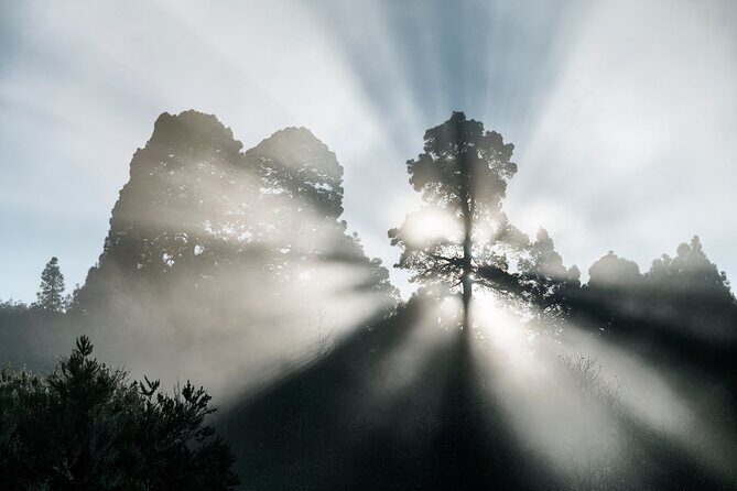 Tenerife Landscape Photography Workshops 10 hours - FAQ