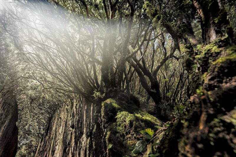 Tenerife: Landscape Photography Workshops, 10 hrs. - FAQs