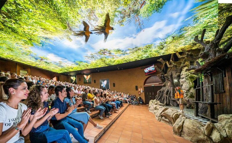 Tenerife: Loro Parque Entry Ticket - Key Points