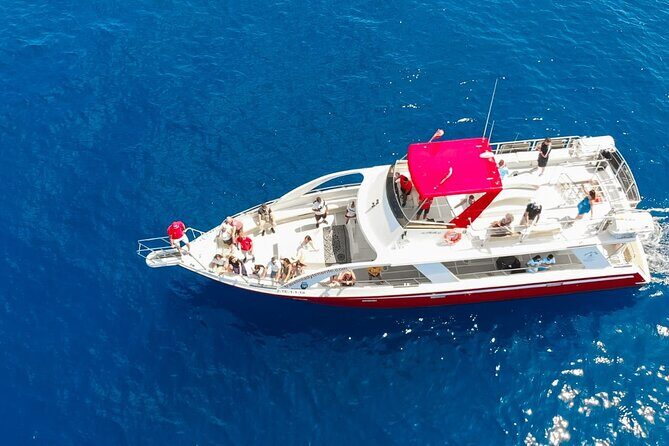 Tenerife Los Cristianos: Whale and Dolphin Eco-Yacht and Swim Stop - The Realities — Pros and Cons