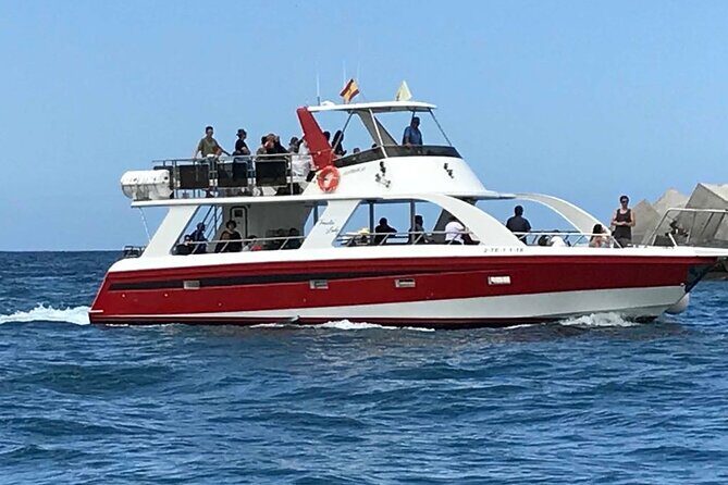 Tenerife Los Cristianos: Whale and Dolphin Eco-Yacht and Swim Stop - Practical Details — What You Need to Know
