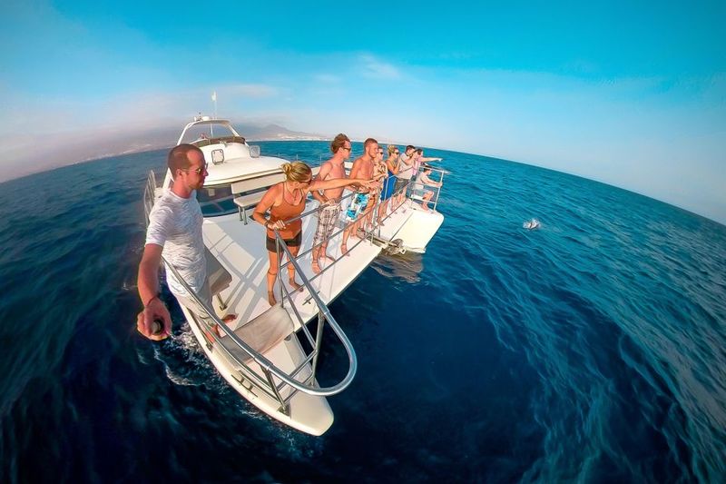 Tenerife: Marine-Life Tour with Transfer, Buffet and Drinks - Views along Tenerife’s south coast: why the catamaran route helps