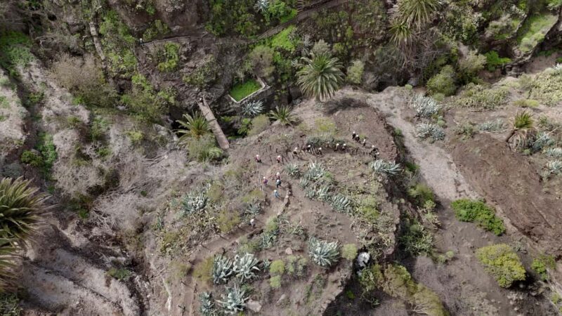 Tenerife: Masca Canyon Descent with Audio Guide and Boat Transfer - Logistics and Practical Tips