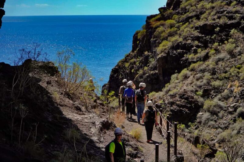 Tenerife: Masca Canyon Descent with Audio Guide and Boat Transfer - Who Should Consider This Tour?