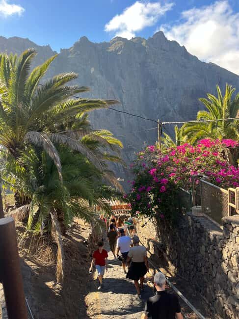 Tenerife: Masca, Los Gigantes & Natural Pools + Picnic - Key Points