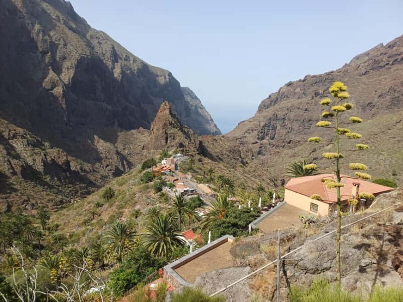 Tenerife: Masca, Los Gigantes & Natural Pools + Picnic - FAQ