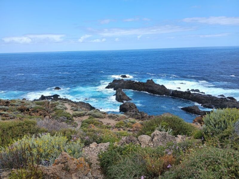 Tenerife: North Coast Landscapes Private Day Tour - Authentic Feedback from Travelers