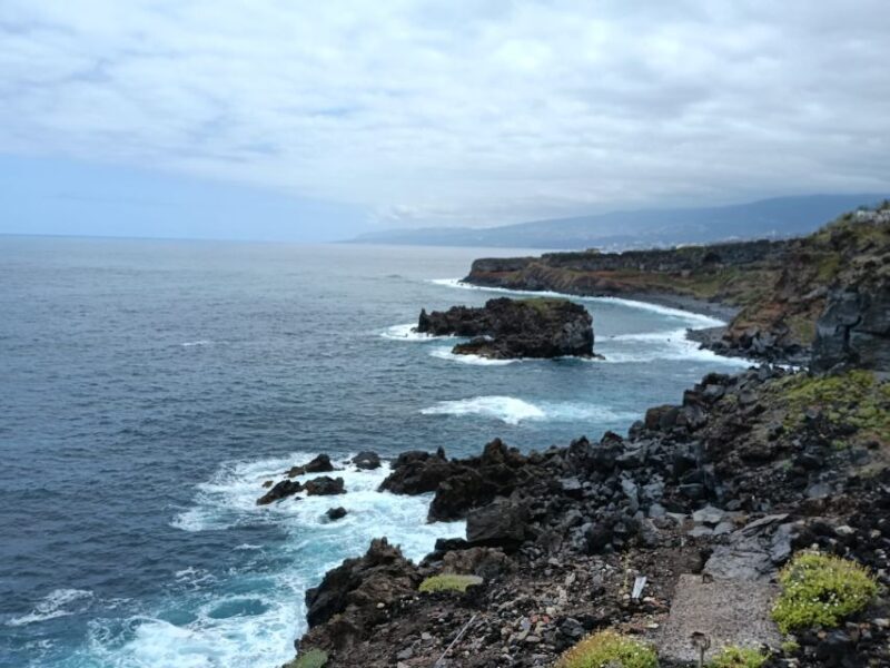 Tenerife: North Coast Landscapes Private Day Tour - Who Should Consider This Tour?