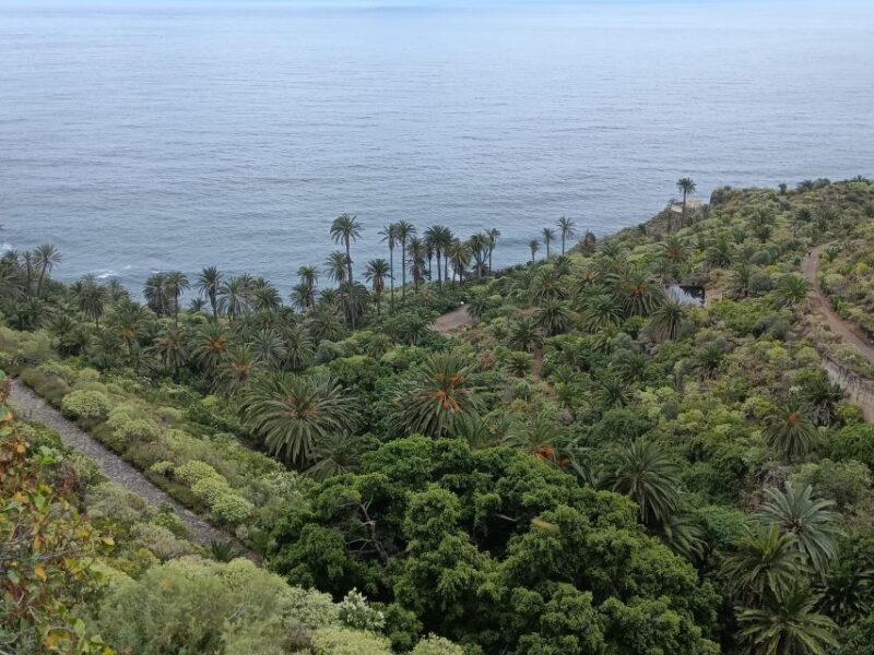 Tenerife: North Coast Landscapes Private Day Tour - Final Thoughts