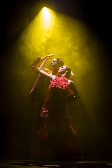 Tenerife : Olé Flamenco Show by Fran Chafino Ticket - Key Points