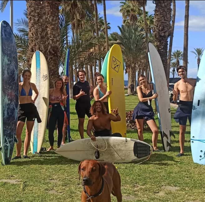 Tenerife: Paddle Surf Experience in Playa de las Américas - Key Points