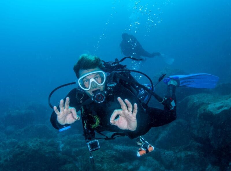 Tenerife: PADI Open Water Diver Course - Who Should Consider This Course