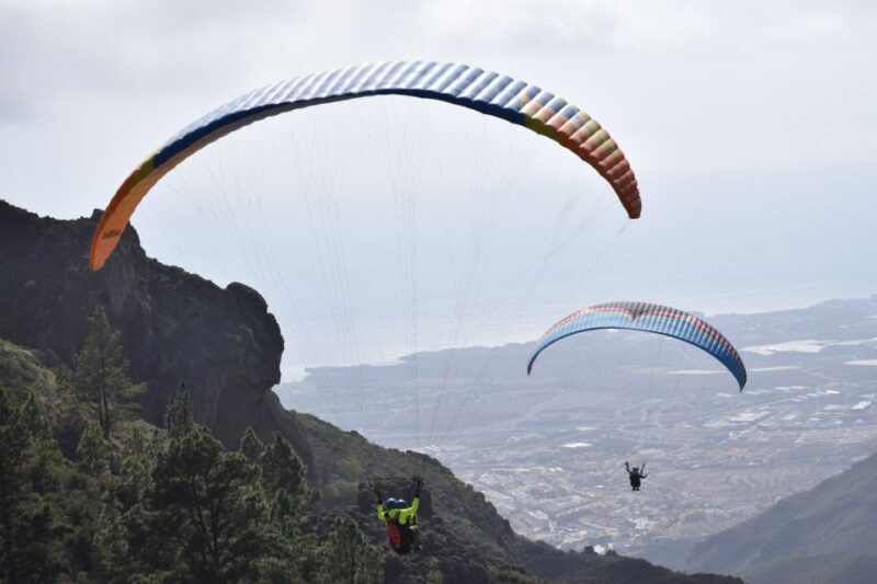 Tenerife: Paragliding Flight - Who Would Enjoy This Tour?