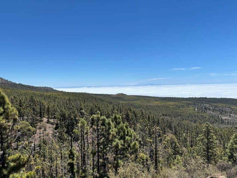 Tenerife: premium e-bike ride at Vilaflor- Lunar Landscape - An Honest Look at the Tenerife E-Bike Experience