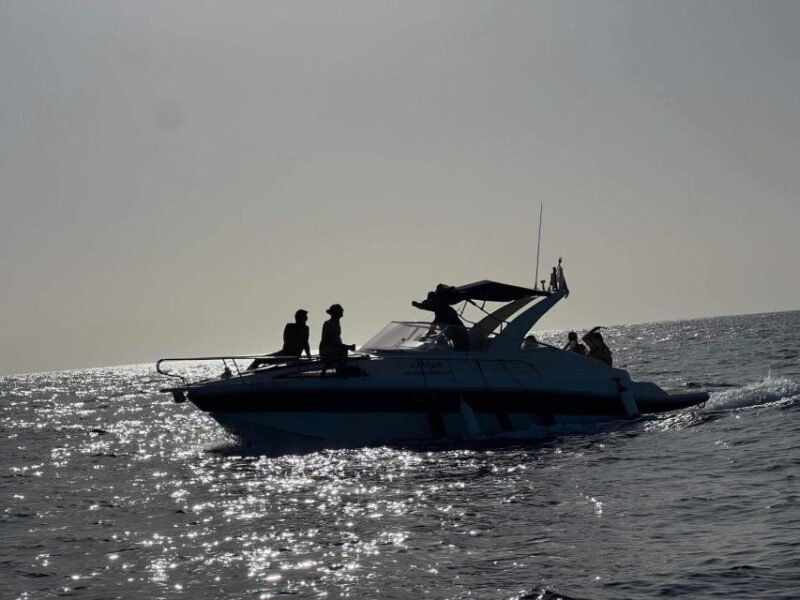 Tenerife: Private Boat Charter with Tapas & Drinks - Key Points