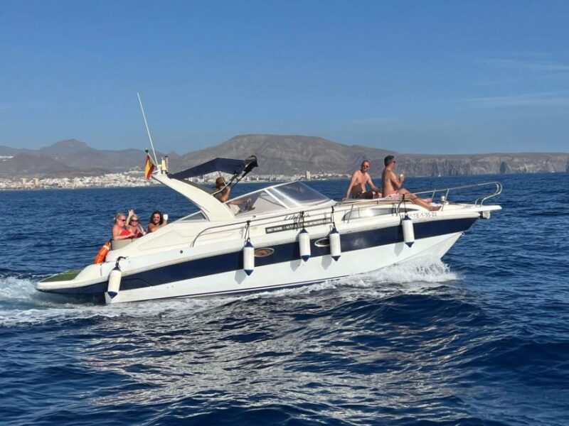 Tenerife: Private Boat Charter with Tapas & Drinks - Possible Drawbacks or Considerations
