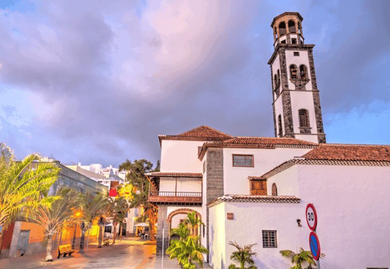 Tenerife: Private Day Tour of the Island with Hotel Pickup - Who Should Consider This Tour?