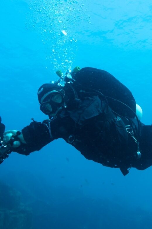 Tenerife : Private Dive for Beginners from a Boat - Marine Life and the Underwater Environment
