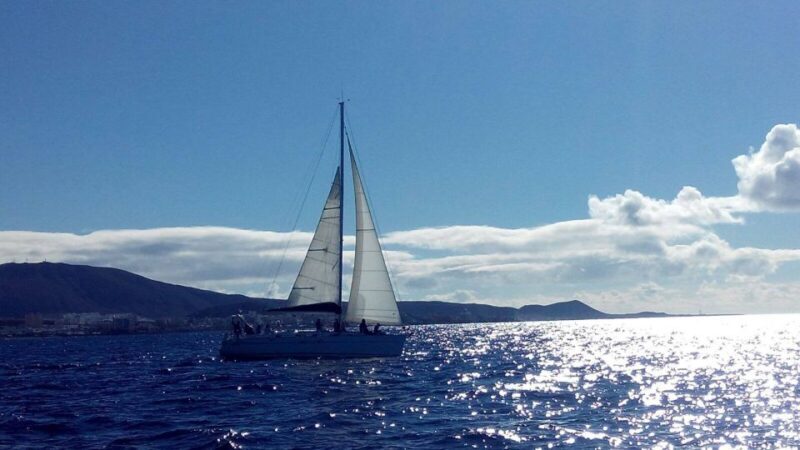 Tenerife: Private or Group 3 Hour Sailing Cruise with Drinks - The Experience: A Detailed Look at the Cruise