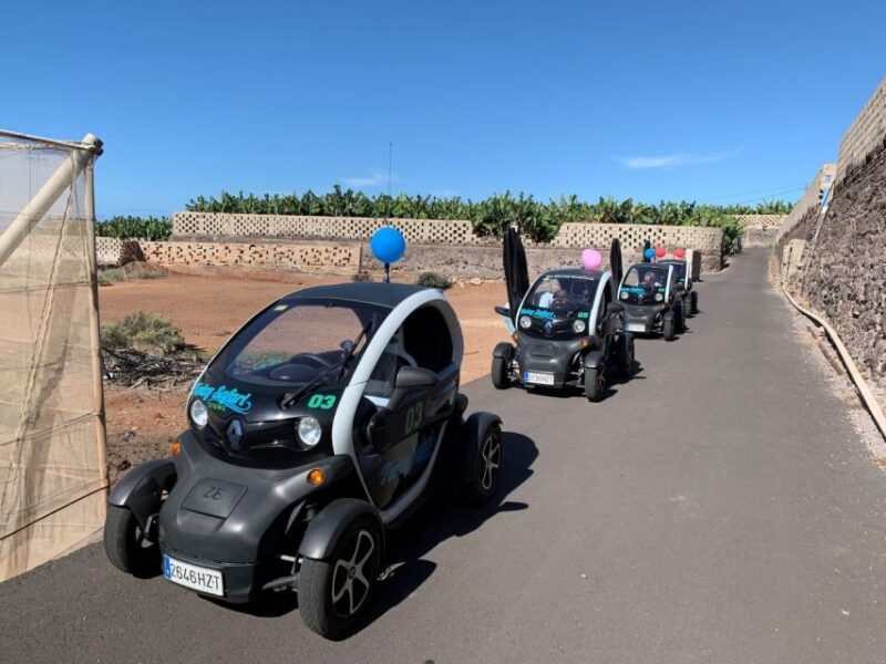 Tenerife: Private Renault Twizy Tour - Banana Plantation and Tasting
