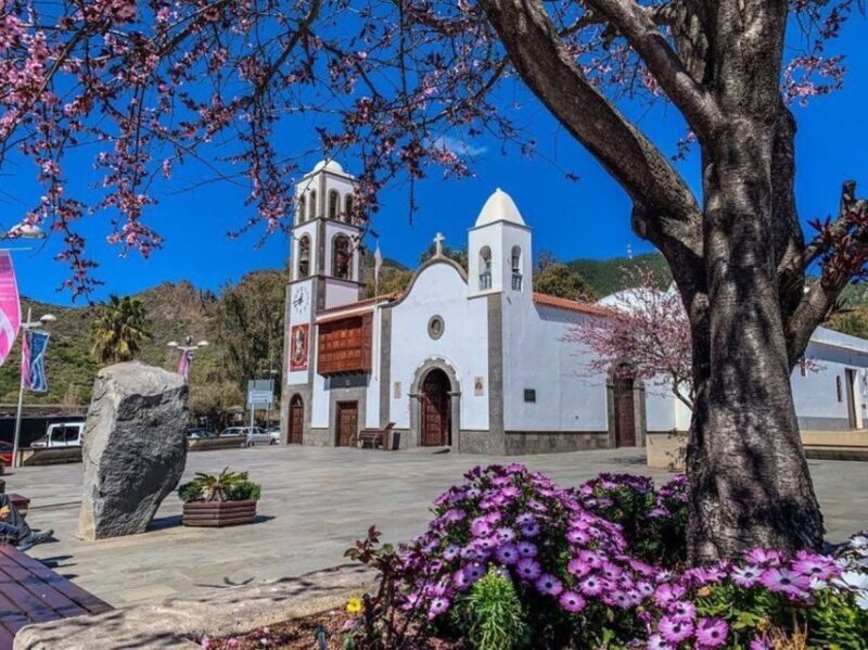 Tenerife: Private Renault Twizy Tour - Who Will Love This Tour?
