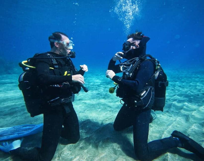 Tenerife: Private Scuba DivingCertified Instructor & Photos - Who Will Love This Experience?