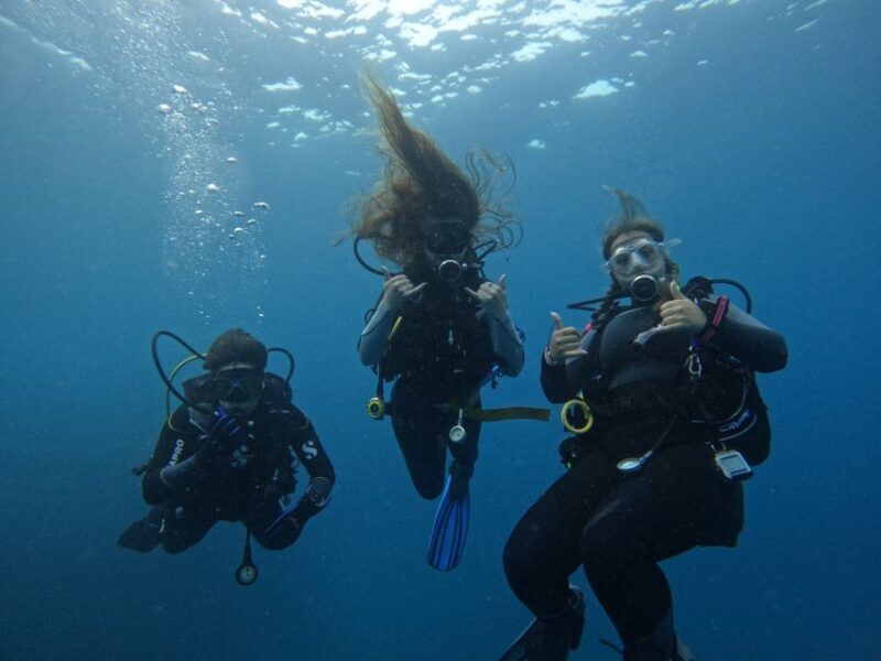 Tenerife: Puerto Colon Certified Scuba Dive by Speed Boat - An Honest Look at the Tenerife Scuba Experience