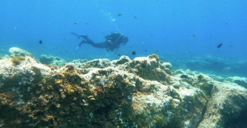 Tenerife: Puerto Colon Certified Scuba Dive by Speed Boat - FAQ