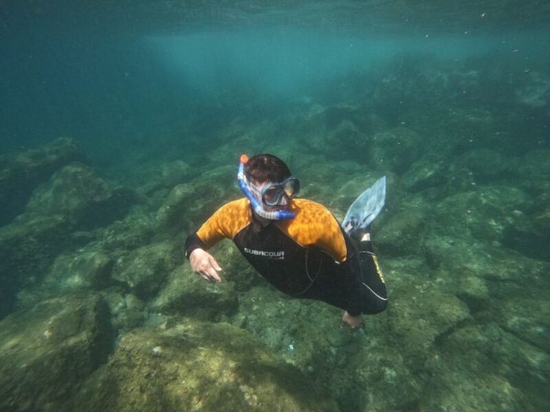 Tenerife: Puerto Colon Snorkel Safari by Speed Boat - The Real Value of This Tour