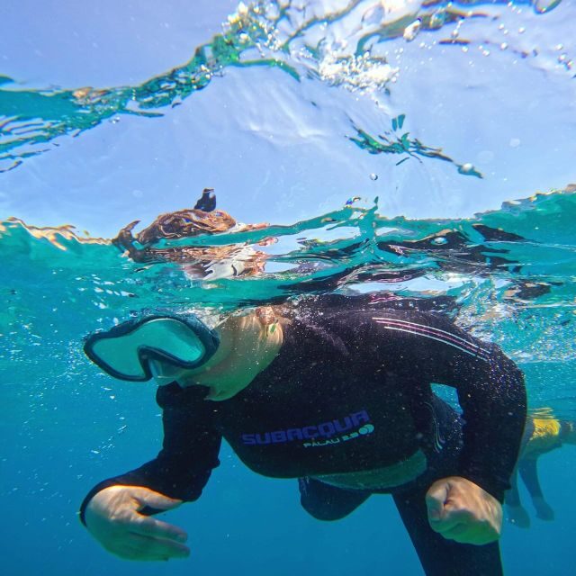 Tenerife: Puerto Colon Snorkel Safari by Speed Boat - The Practical Details