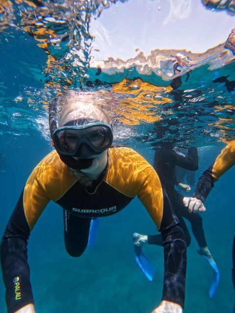 Tenerife: Puerto Colon Snorkel Safari by Speed Boat - Who Is This Tour Best For?