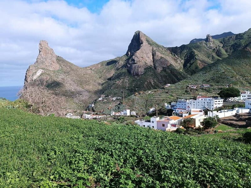 Tenerife-Puerto Cruz: Avatar Hiking, Bajamar and Cocktail - Key Points
