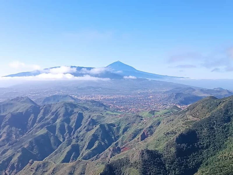 Tenerife-Puerto Cruz: Avatar Hiking, Bajamar and Cocktail - A Full Day of Nature and Culture in Tenerife