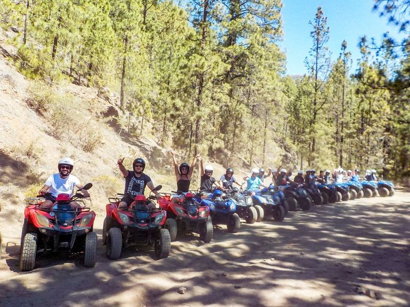 Tenerife: Quad Adventure Tour in Teide National Park - Quads and Driving Basics: What You Need to Ride