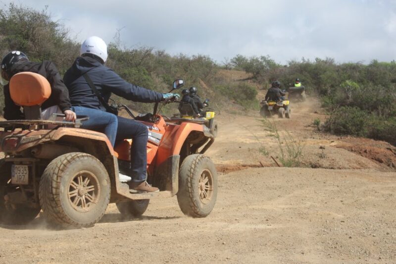 Tenerife: Quad Bike Off-Road Adventure - What to Expect on the Day