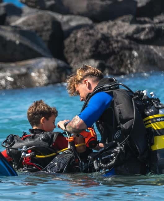 Tenerife: Scuba Dive & Fun, Discover the Magic of the Ocean - What to Expect from Your Tenerife Scuba Experience