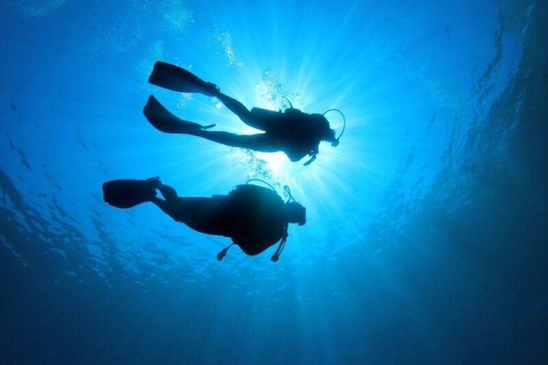 Tenerife: Scuba Diving Experience with Instructor and Gear - The Experience Duration and Group Size